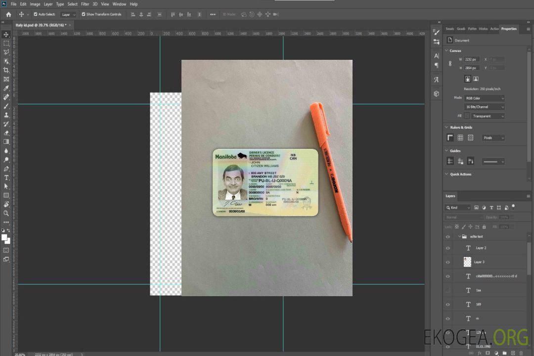 Canada Manitoba DL photolook AVANT template